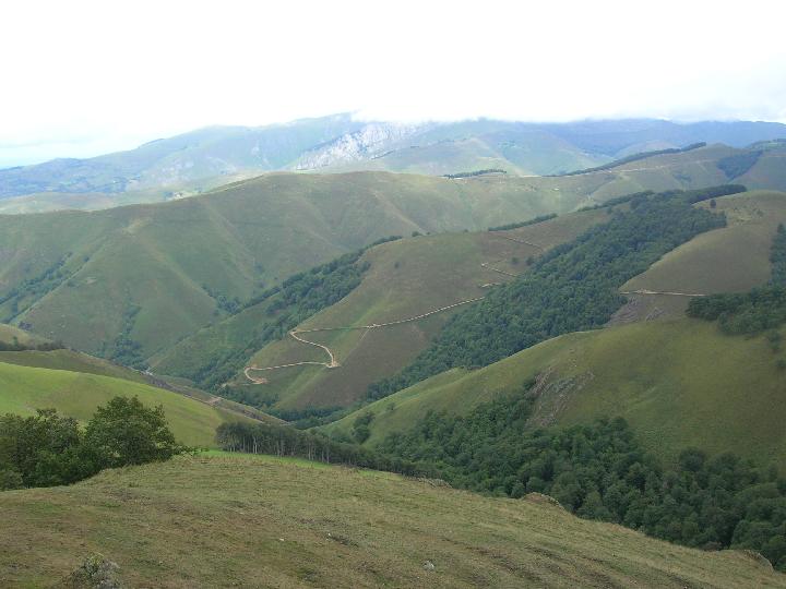 Original image