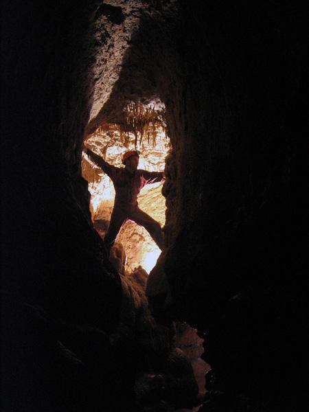 Original image